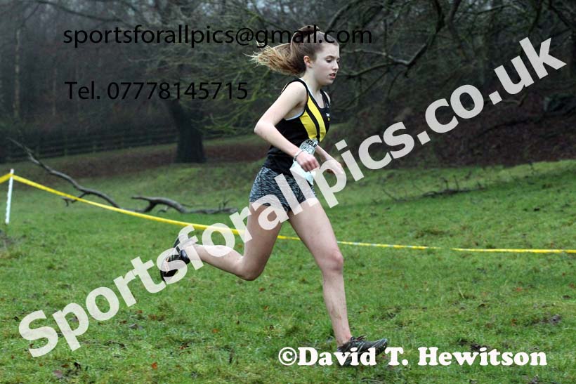 Girls under-15s, NECAA Junior Cross Country Relays, Thornley Farm, Peterlee, Saturday, December 12th. Photo: David T. Hewitson/Sports for All Pics